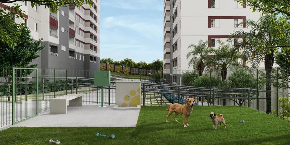 POENTE_DAS_BROMELIAS_PETPLACE_EF5077d4df-ed94-4ec5-bd11-250069be4dff